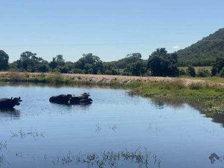 Fazenda em Zona Rural