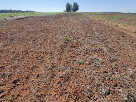 Fazenda em Zona Rural