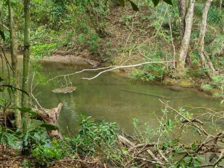 Chácara em Zona Rural