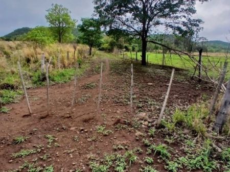 Chácara em Zona Rural