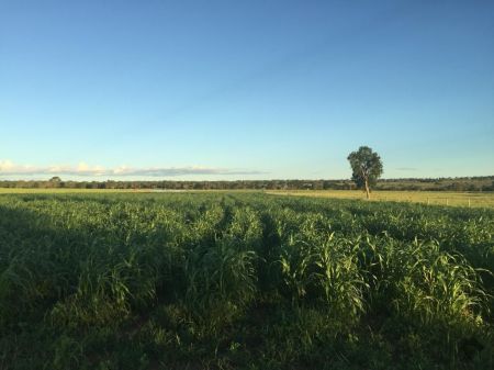 Fazenda em Zona Rural