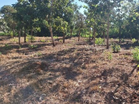 Área em Jardim Mansur