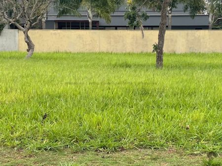 Terreno-Condomínio em Residencial Alphaville IV