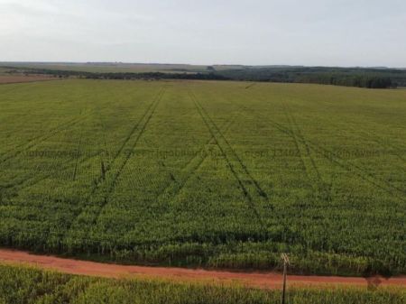 Fazenda em Zona Rural