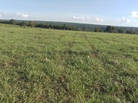 Fazenda em Zona Rural