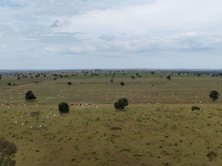 Fazenda em Zona Rural