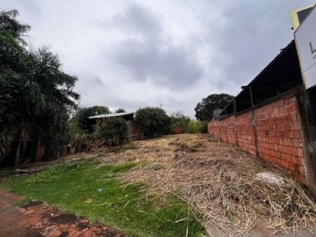 Terreno em Vila do Polonês