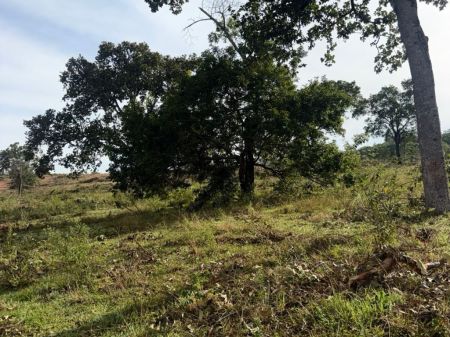 Fazenda em Zona Rural