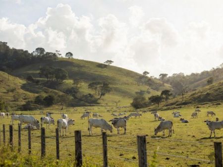 Fazenda em Zona Rural
