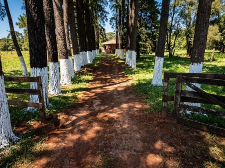 Chácara em Zona Rural