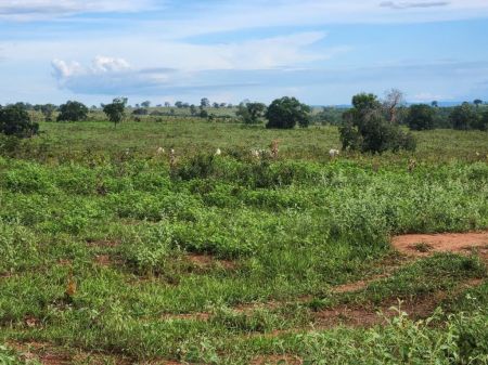 Fazenda em Zona Rural