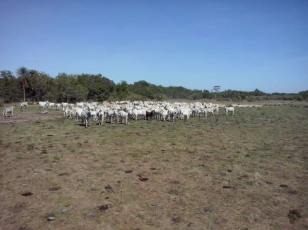 Fazenda em Zona Rural