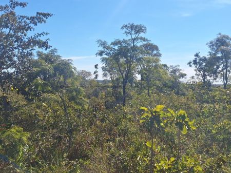 Terreno em Parque Atlântico