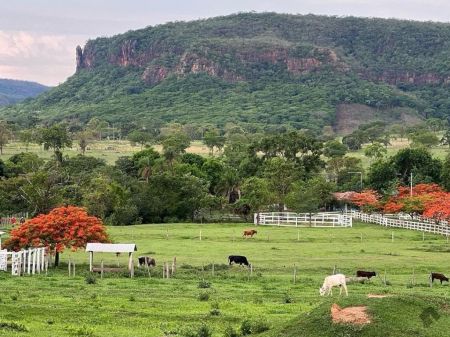 Sitio em Zona Rural