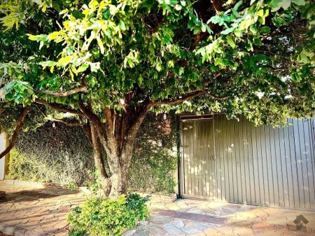 Casa-Térrea em Vila Célia