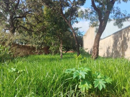 Terreno em Jardim Noroeste