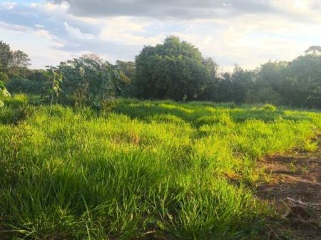 Área em Centenário