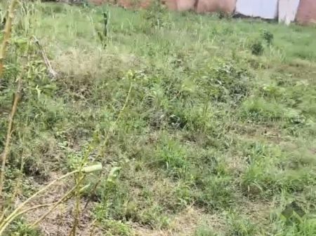 Terreno em Parque dos Laranjais