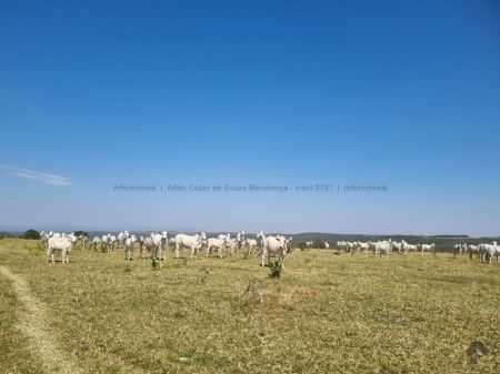 Fazenda em Zona Rural