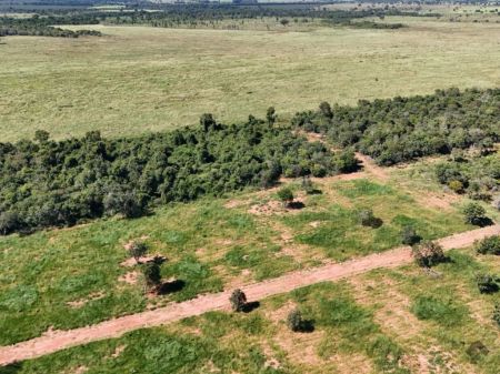 Área em Zona Rural