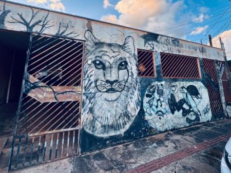 Casa-Térrea em Jardim Zé Pereira