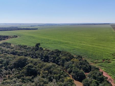 Fazenda em Anhanduí