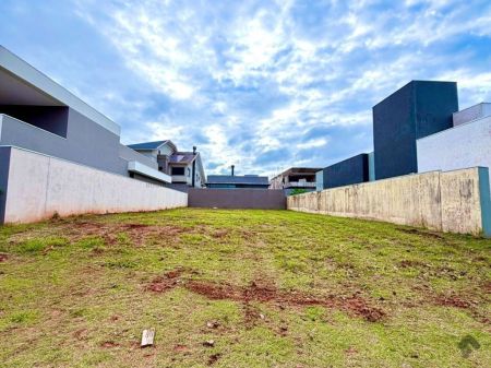 Terreno-Condomínio em Residencial Alphaville IV