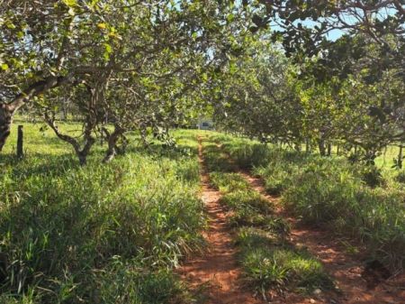 Chácara em Zona Rural