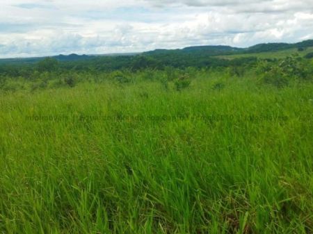Fazenda em Zona Rural