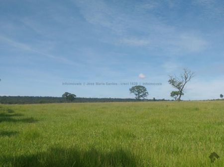 Fazenda em Zona Rural