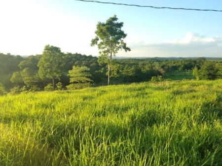 Fazenda em Zona Rural