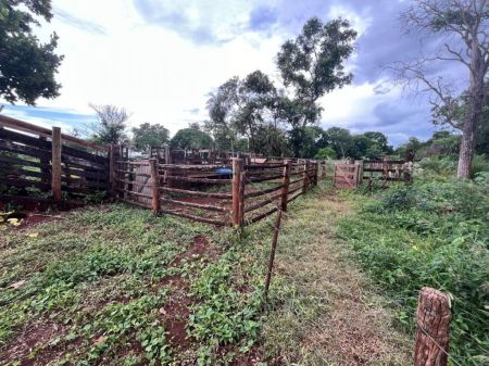 Fazenda em José Abrão