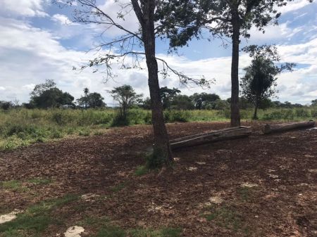 Fazenda em Zona Rural