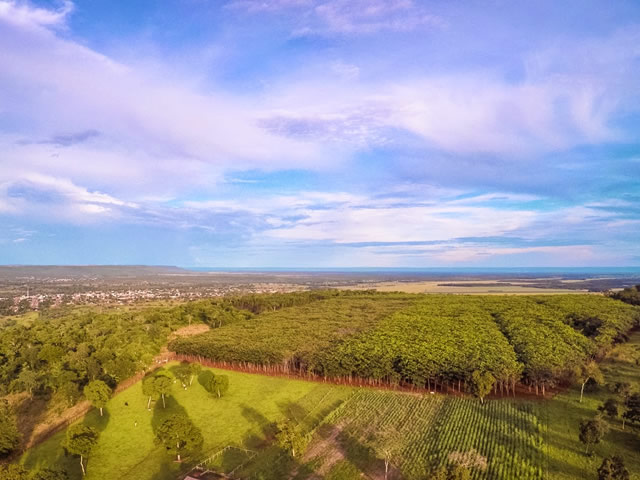 Centro-oeste domina ranking de municípios com maior procura por terras rurais em 2025